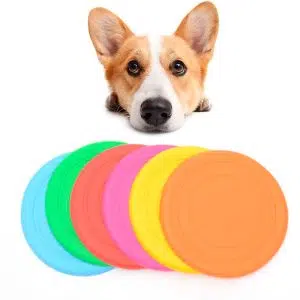 Frisbee para Cães