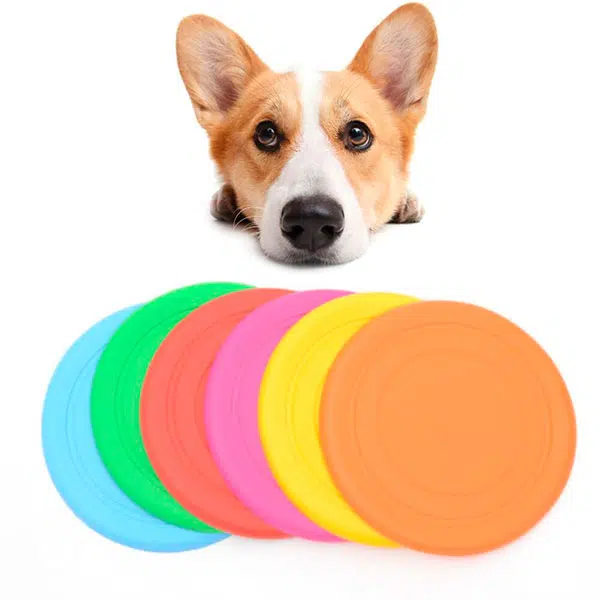 Ver Frisbee-para-Cães-2