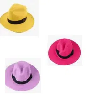 Chapéu panamá palha colorido